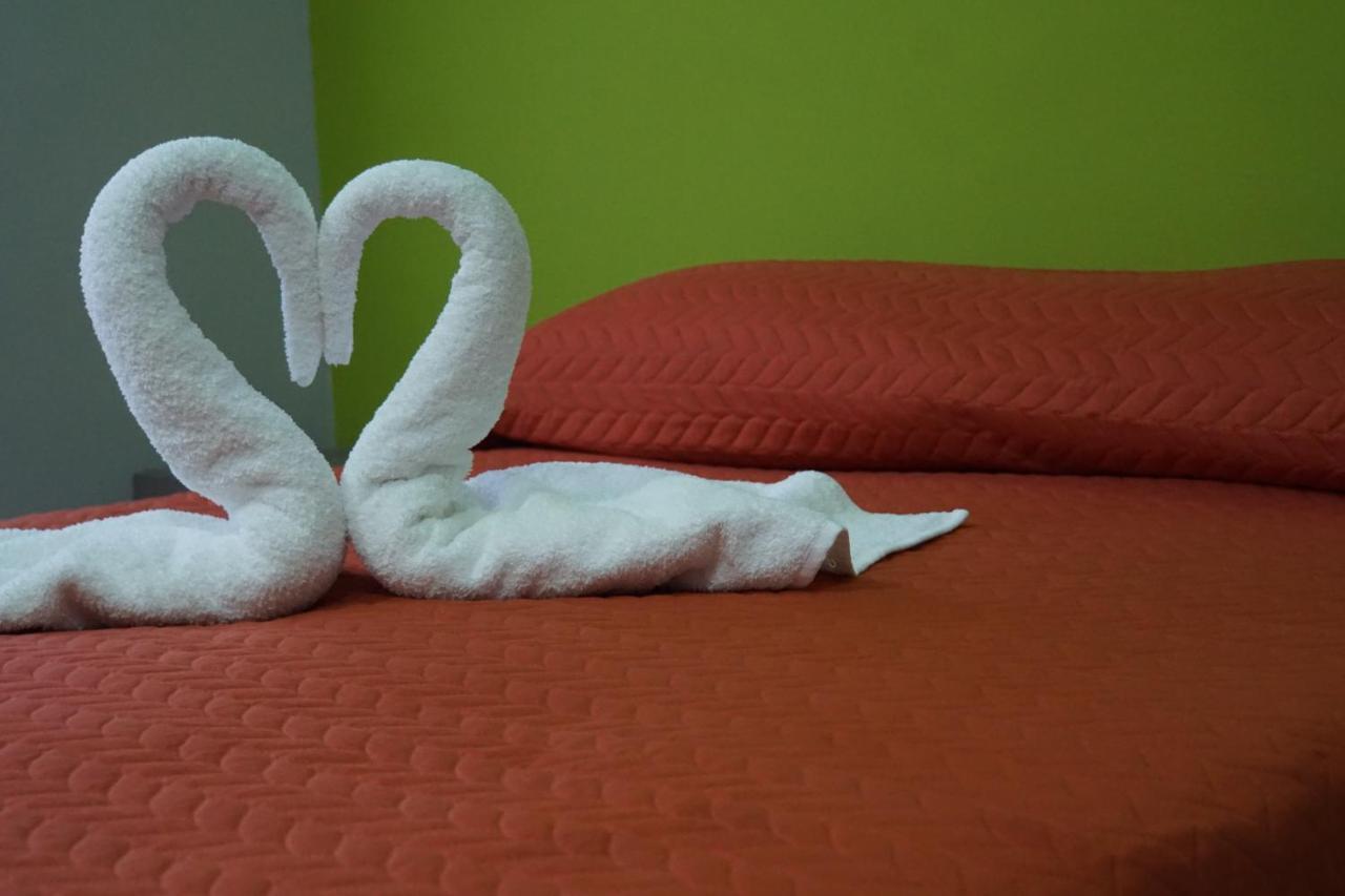 Hotel Hc Express Monterrey Zewnętrze zdjęcie